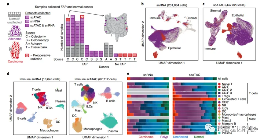 单细胞测序在结直肠癌研究中的应用