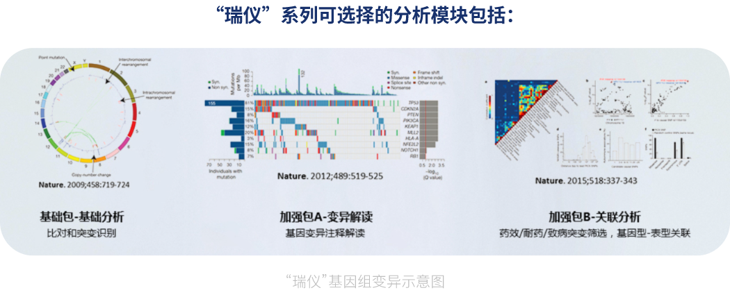 “瑞仪”基因组变异分析服务(瑞仪析)