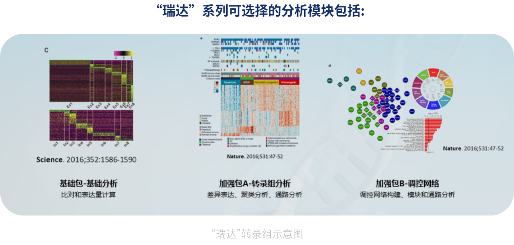 “瑞达”转录组分析服务(瑞达析)